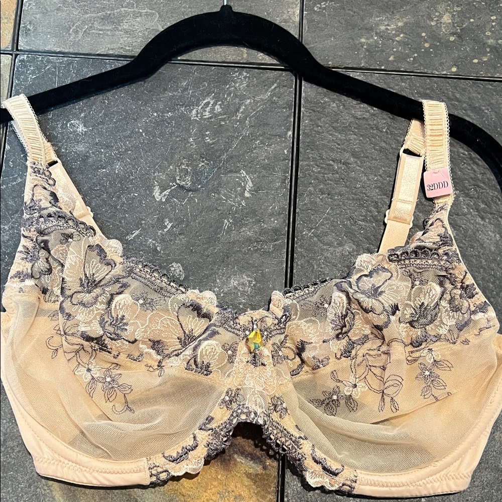 Elegant Lace Embroidered Bra - Cream and Gray